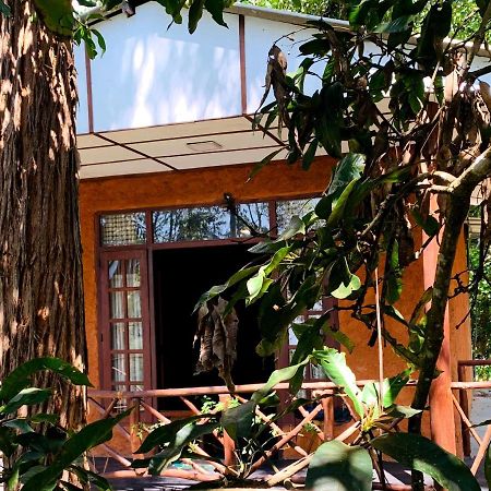 The Nirwana Cottage Ella Buitenkant foto